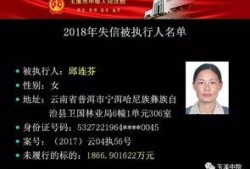 二少欠钱爆料视频大全,揭秘网络爆料视频背后的真相
