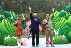 深圳李师傅最新爆料视频,揭秘背后惊人真相！