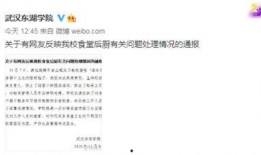 武汉学校爆料视频最新版,校园事件全纪录